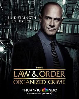 法律与秩序：组织犯罪 第四季8