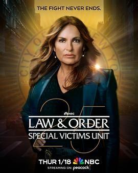 法律与秩序：特殊受害者 第二十五季第13集完结(大结局)